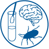 test tube with swab, brain, beetle illustration